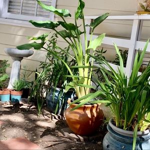 Meet your Posher, Randy